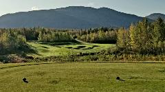 Moose Run Golf Course