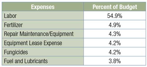 Maintenance-Survey-Expenses