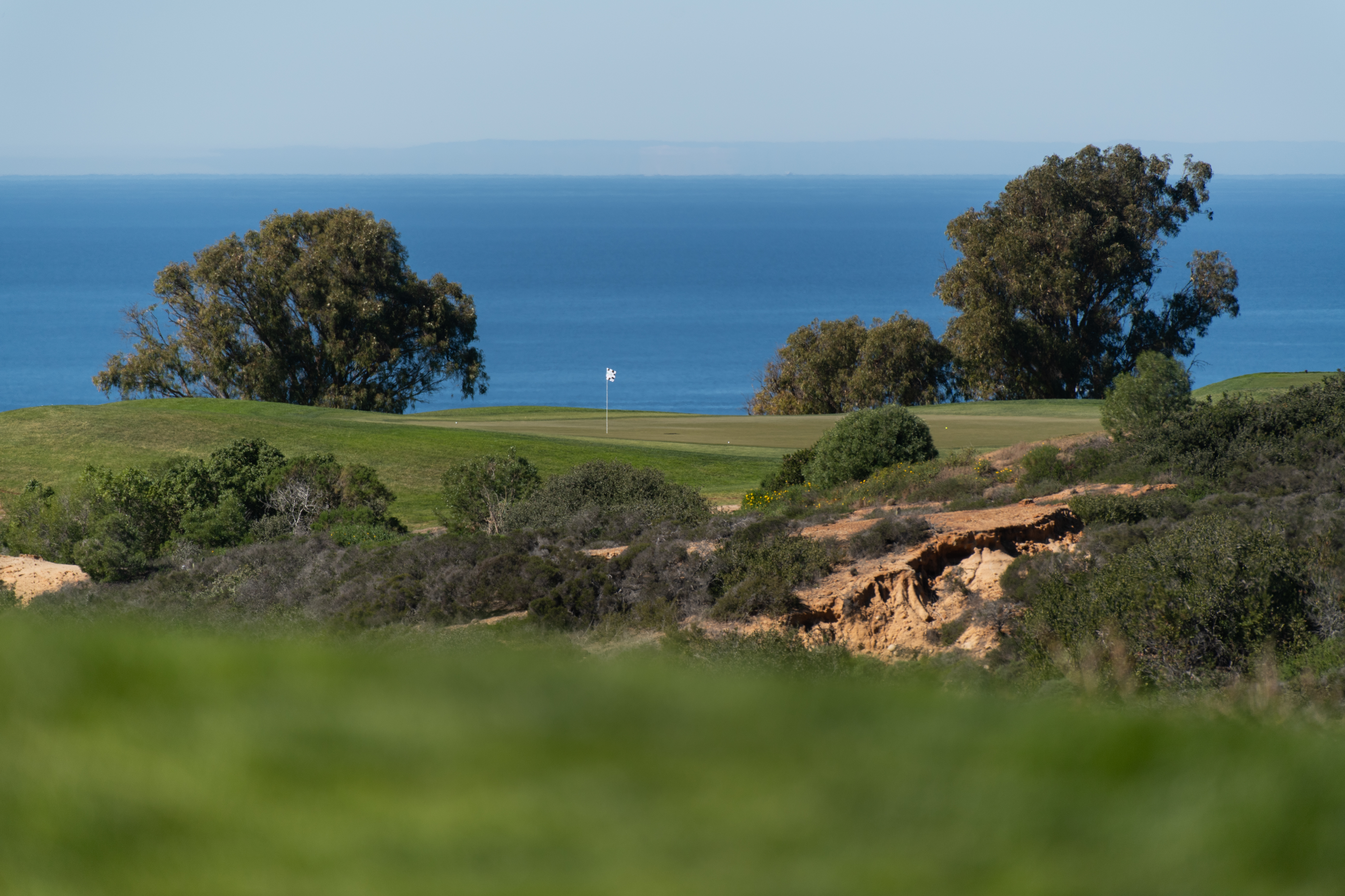 Go behind the scenes at Torrey Pines