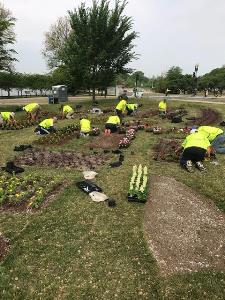 Laying Sod Laying Sod