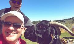 Dave Phipps with Goat Caddie Dave Phipps with Goat Caddie