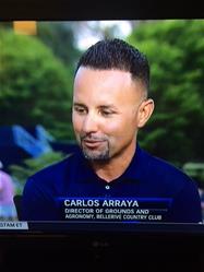 carlos arraya