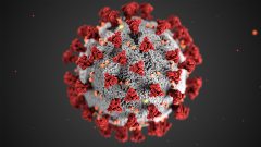 coronavirus coronavirus