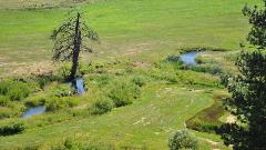Silvies Ranch Stream Silvies Ranch Stream
