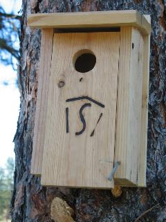 Bird House