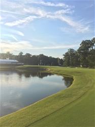 pga champ2