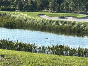 Lakewood National Kridel