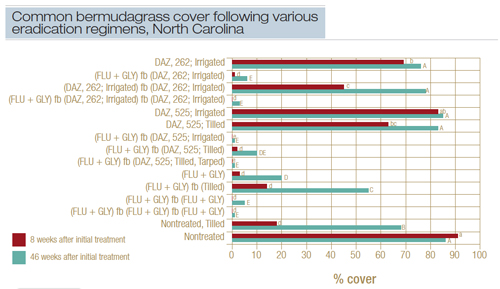 bermudagrass-fig1