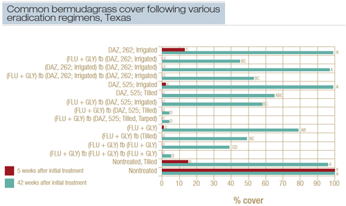 bermudagrass-fig2