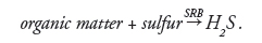blacklayer-equat2 blacklayer-equat2