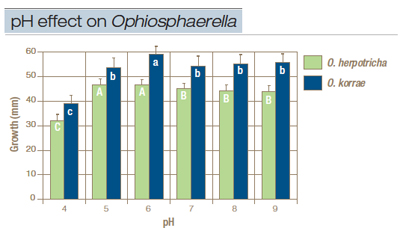 effects-fig1