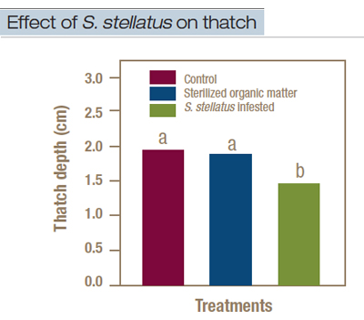 thatch-fig3