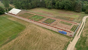 Fescue research at the University of Minnesota